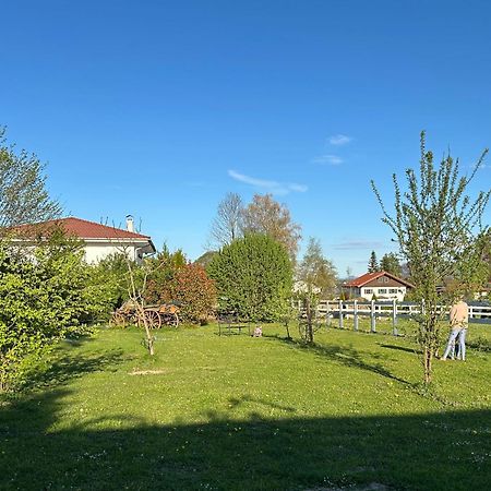Black Horse Family Apartment - Barrierearm - Pfotenglueck - Familienzeit By Loewenherz Homes Stephanskirchen Exterior foto